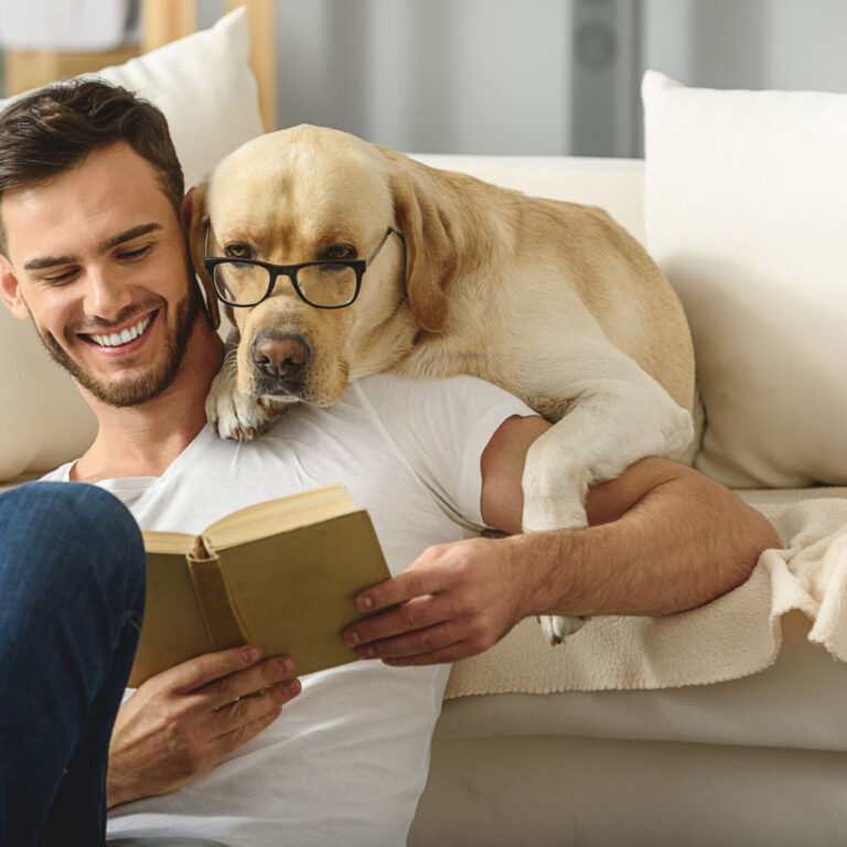 5 Pet Friendly Apartment Search Secrets